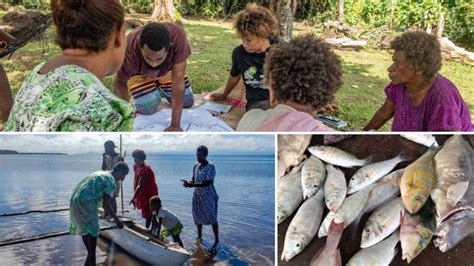 Community fisheries .